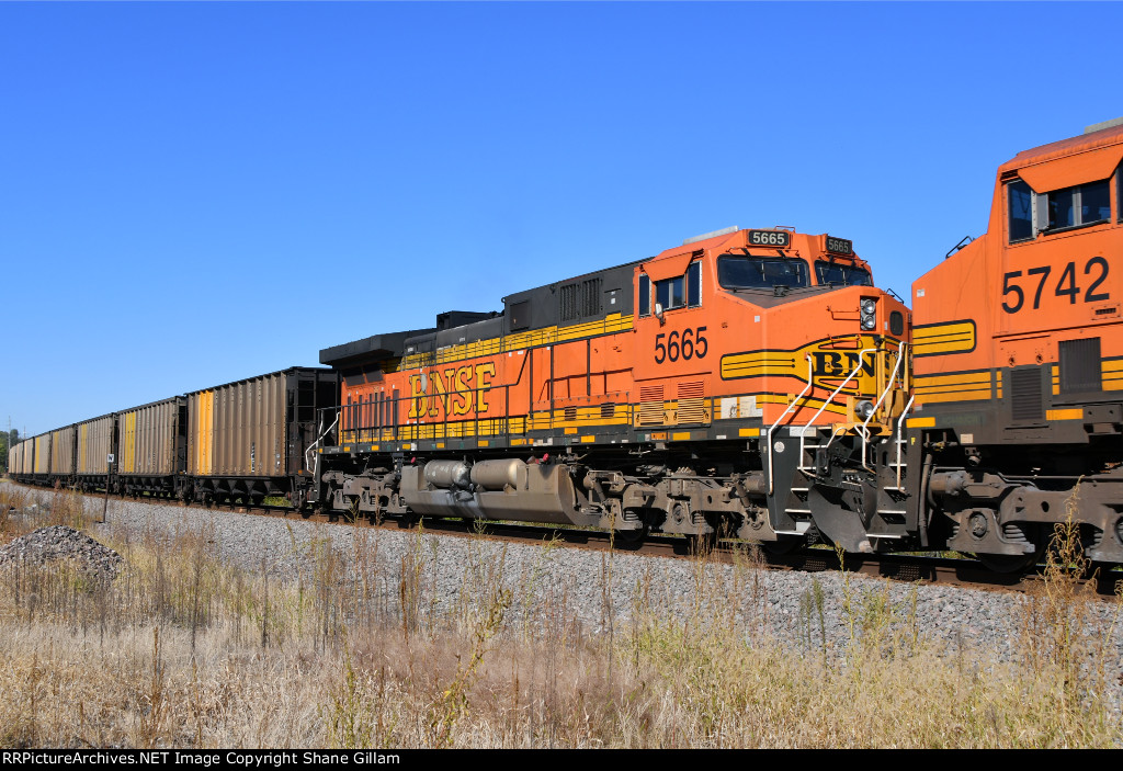 BNSF 5665 Roster shot